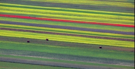 Lenticchie di Castelluccio col cotechino