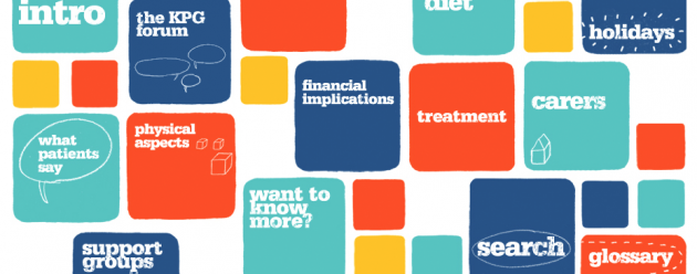 Kidney patients guide